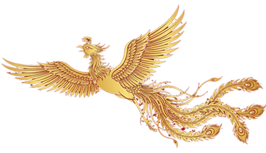 Phoenix Right